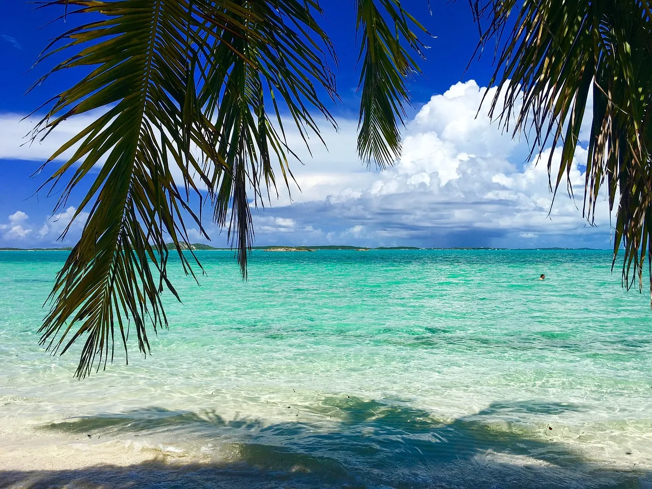 WSOP paradise bahamas