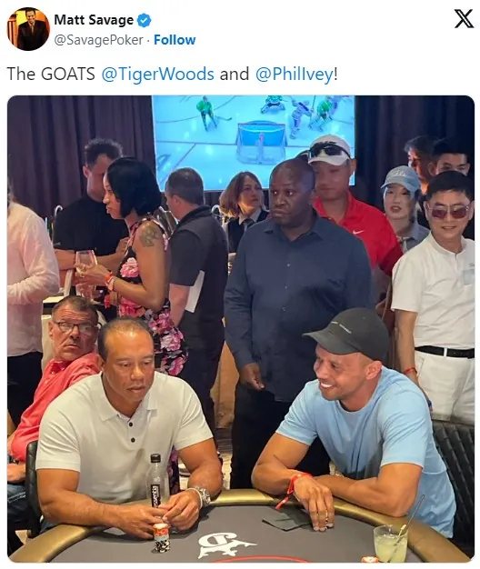 phil ivey tiger woods wsop