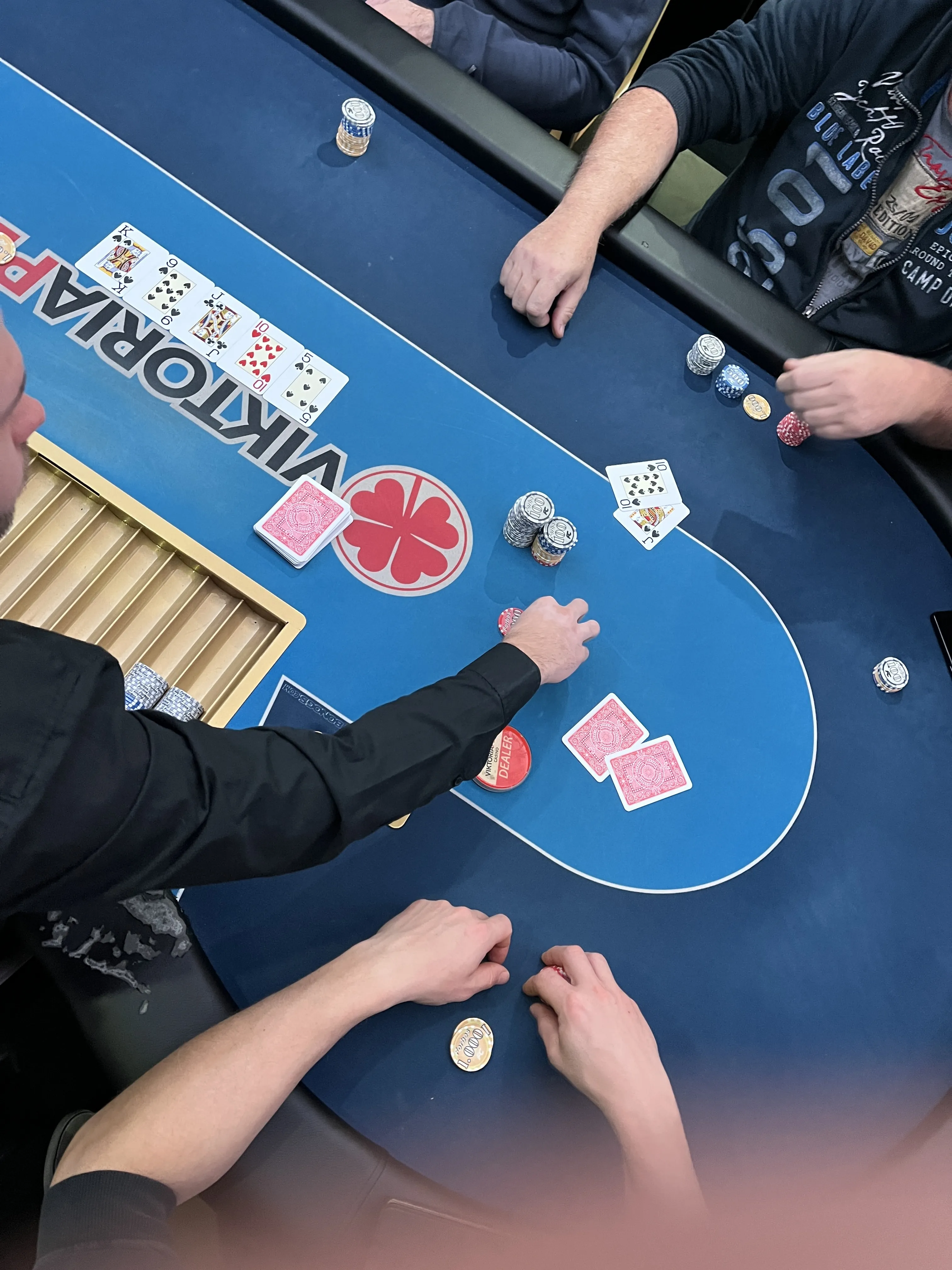 casino babylon liberec