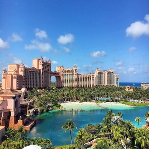 Vyměníte vánoční jedli za palmu na WSOP Paradise? Vyměníte vánoční jedli za palmu na WSOP Paradise?