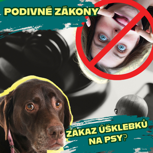 Zajímavosti, které vás pobaví: Podivné zákony z celého světa