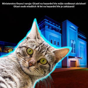 Go4games Hodolany : Kocur si poradil s Pornohercem a vyškrábnul 57.400 Kč ze Saturday Specialu! Go4games Hodolany : Kocur si poradil s Pornohercem a vyškrábnul 57.400 Kč ze Saturday Specialu!
