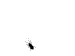 Crane Crane