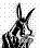 CZDonkey